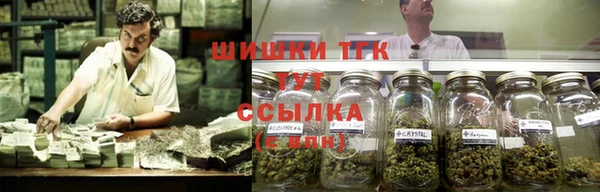 сатива Ладушкин