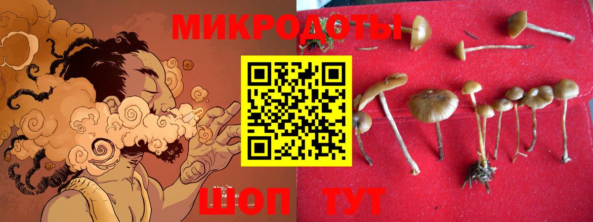 Галлюциногенные грибы Psilocybe  Вход с VPN  Псилоцибиновые грибы мицелий  Норильск 