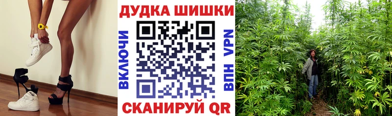 Шишки марихуана семена Норильск