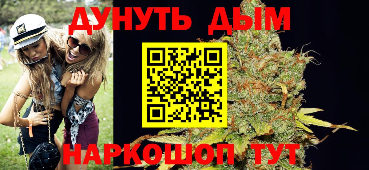 Канабис план Норильск